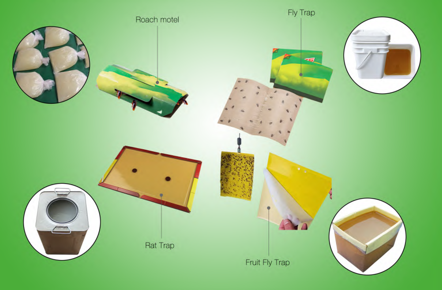 Adhesive applications for cockroach, fly, rat and fruit fly traps